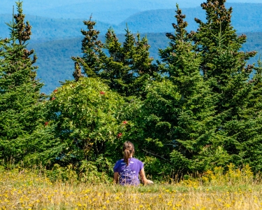 Quest_Shot_It-Poo Poo Point-meditate-03520